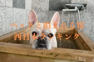 ペットと泊まれる宿ランキング 西日本